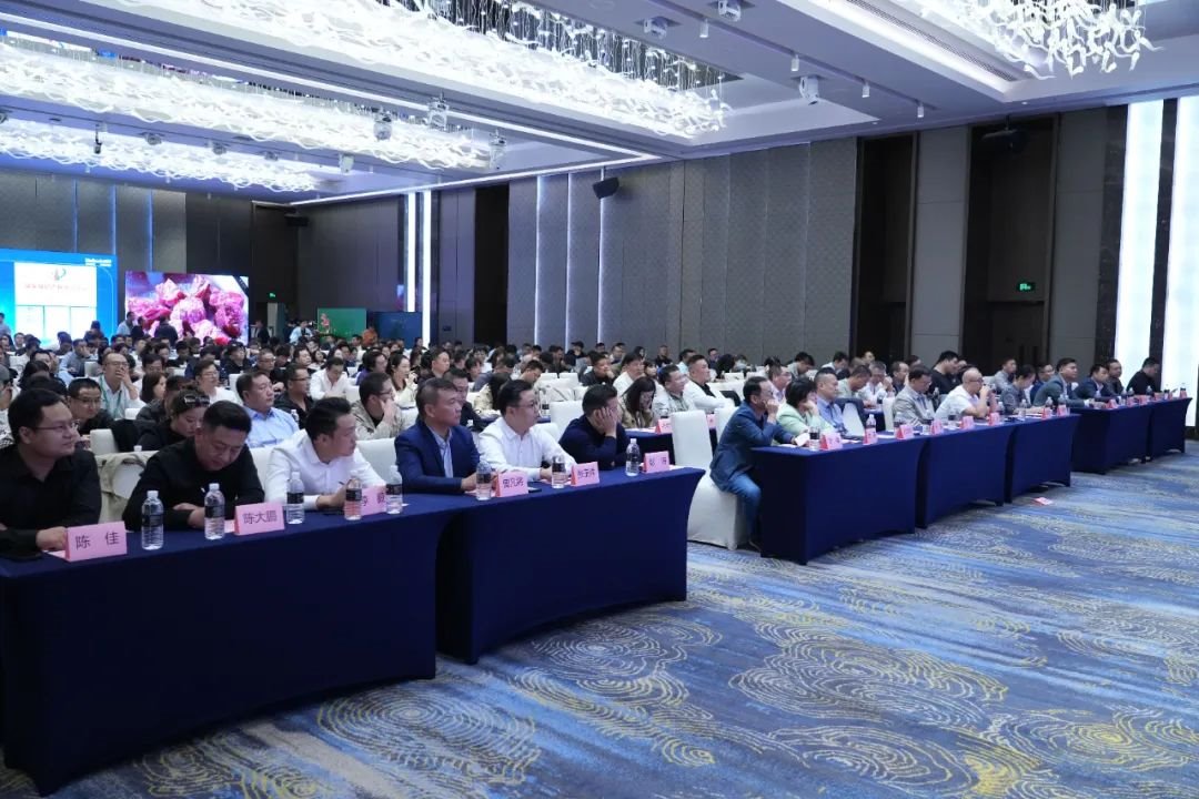 【上海站】洲明集團(tuán)2023共進(jìn)峰會(huì)COB專場(chǎng)圓滿成功