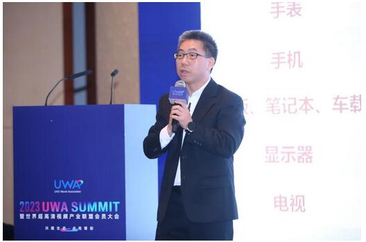 多家LED顯示屏十強(qiáng)企業(yè)亮相2023 UWA Summit