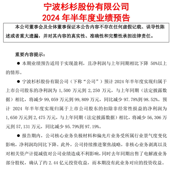 杉杉股份2024年半年度業(yè)績預(yù)告：盈利大幅下滑，業(yè)務(wù)調(diào)整中尋求突破