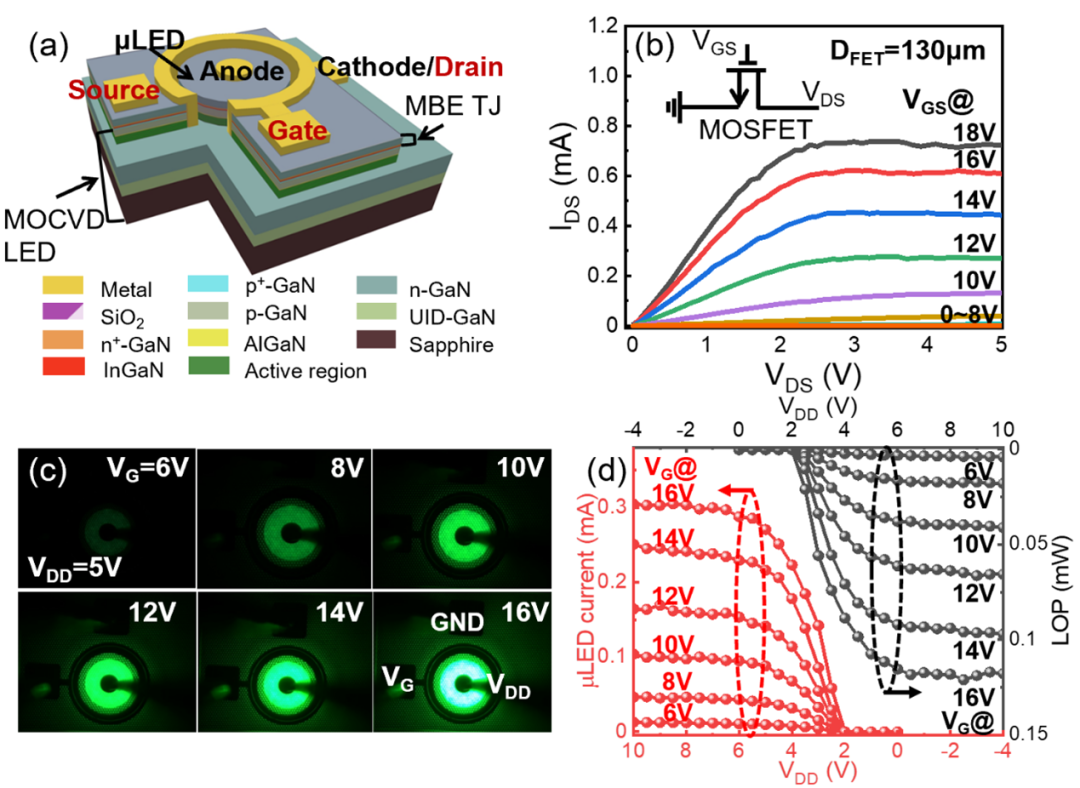 南京大學(xué)團(tuán)隊開辟 Micro LED 全氮化物單片集成新路徑
