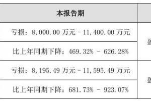 2024 年度 LED 行業(yè)業(yè)績(jī)大揭秘：十家企業(yè)的沉浮與突破
